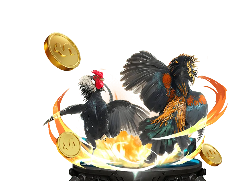 Trò chơi Video Slot hiện đại tại 555win12 win